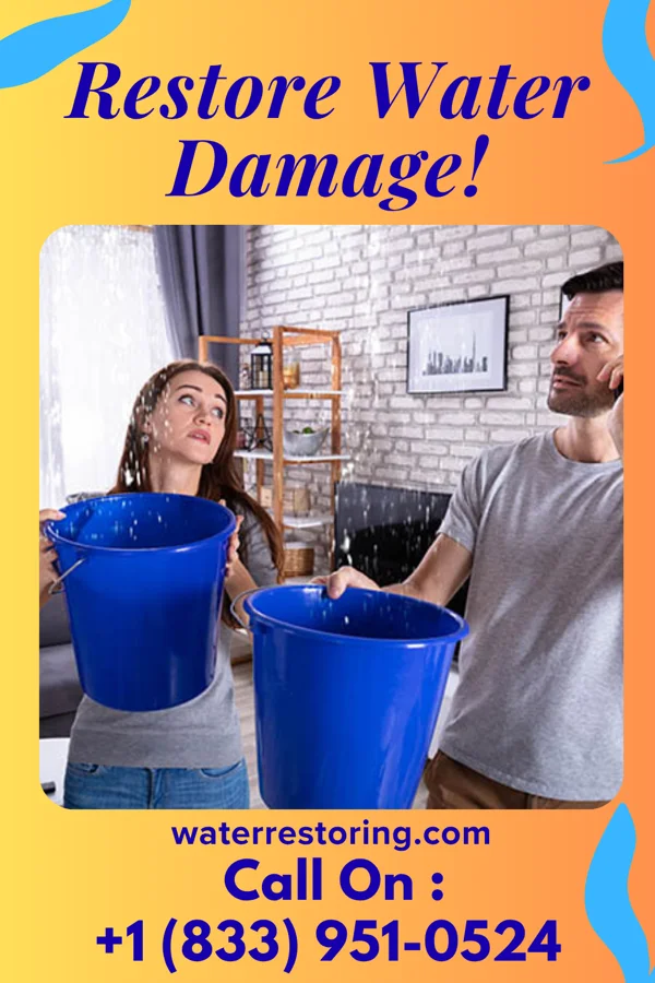 water restoration Silver Sewage Cleanup Force Grandville