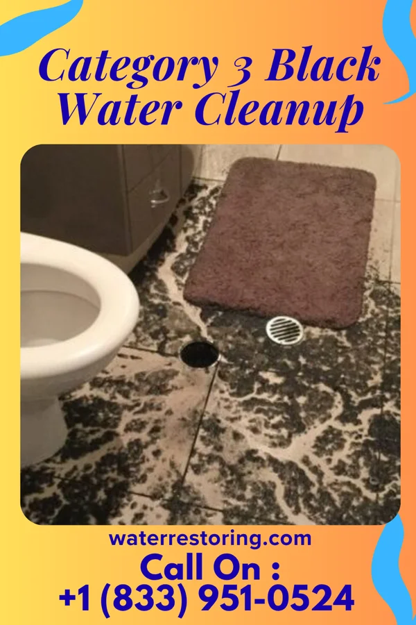 Category 3 Black Water Cleanup in Grandville, MI