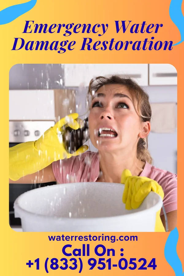 Emergency Water Damage Restoration in Grandville, MI