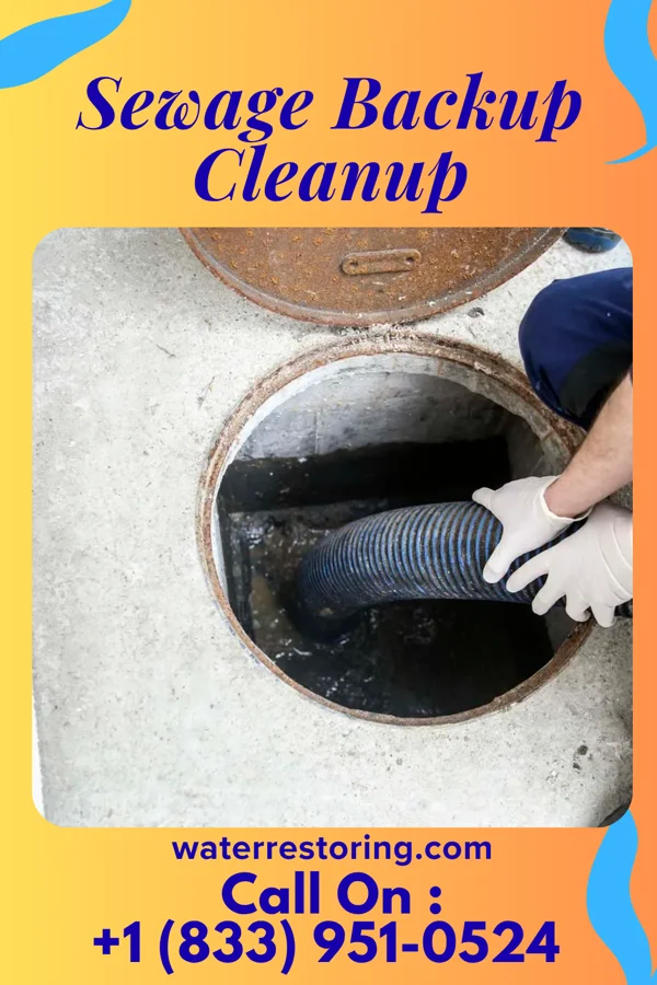 Sewage Backup Cleanup in Grandville, MI