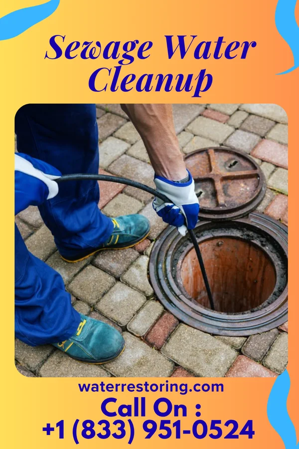Sewage Water Cleanup in Grandville, MI