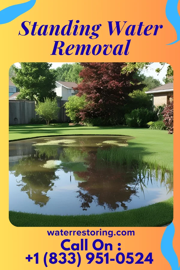 Standing Water Removal in Grandville, MI